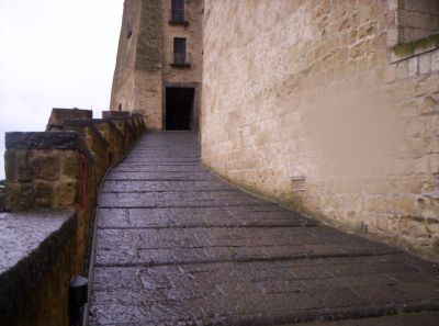 particolare delle mura del Castello