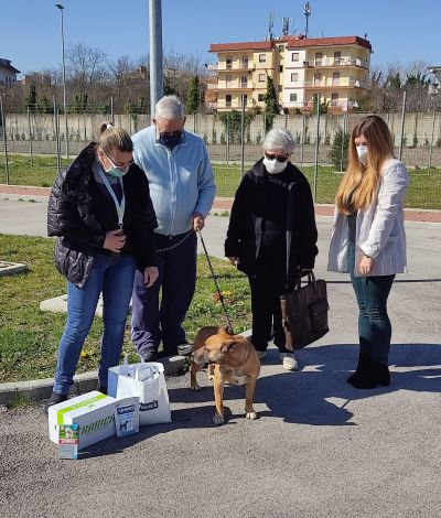 Prima adozione al canile &ldquo;La Collina di Argo&rdquo;: Tony trova casa. Gi&agrave; pronta una seconda adozione