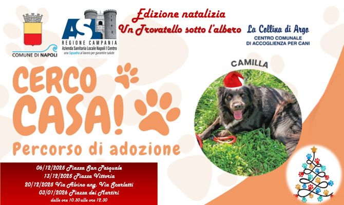 "Cerco casa!" - Incontri di sensibilizzazione per l'adozione consapevole dei cani de "La Collina di Argo"