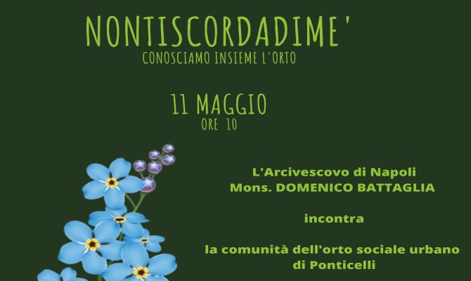 Comune di Napoli - Nontiscordardimè - Conosciamo insieme l'orto - Versione  Stampabile