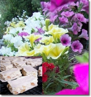 fiori e torrone