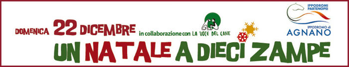 Un Natale a dieci zampe