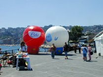 Visualizza i comunicati stampa dell'evento (6.01 MB)