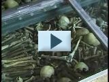 Apri il video sulla riapertura del cimitero delle Fontanelle (3.71 MB)