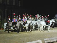 Anteprima in Acrobat del Carosello Carabinieri a cavallo (2.05 MB)