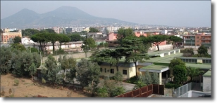 foto del Centro Servizi Incubatore di Imprese