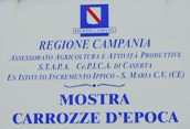 Scarica le foto dell'evento - Carrozze d'Epoca (926.23 KB)