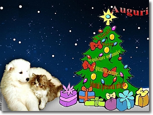 fotomontaggio di un cagnolino ed un gattino sotto un albero di Natale