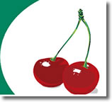 grappolo di due ciliegie