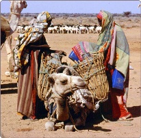 immagine di somali con cammello