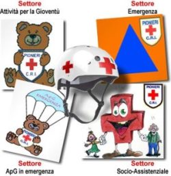 Le attività legate all'Area Servizio nella Comunità