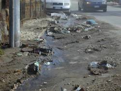 Via Pigna - fango e grate divelte (998.74 KB)