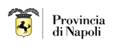 logo Provincia di Napoli