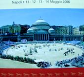 Scarica le foto dell'evento - Piazza del Plebiscito (8.55 KB)