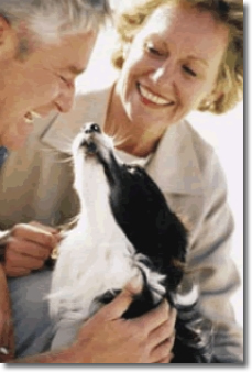 un cane e due persone che lo accarezzano