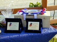 Gruppo di foto in formato .zip da poter scaricare (5.26 MB)