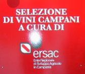 Scarica le foto dell'evento - Ersac Vini Campani  (784.46 KB)