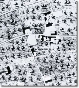 antica mappa topografica