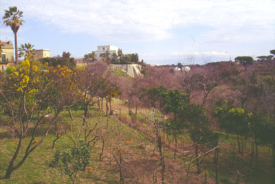 campi coltivati e villa settecentesca