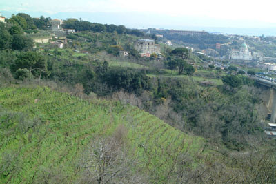 terrazzamenti lungo lo Scudillo