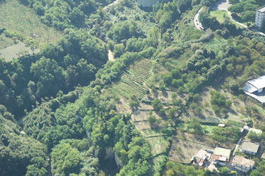 campi e solchi idrografici lungo i Camaldoli