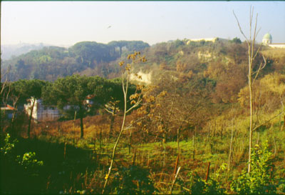 area agricola di Sant'Antonio ai Monti