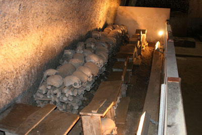 raggruppamento di teche e teschi