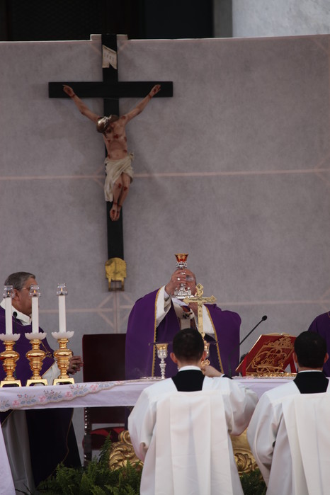 La celebrazione di Piazza del Plebiscito