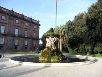 interno bosco di Capodimonte