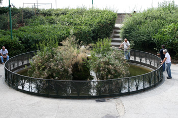  interno villa Floridiana 