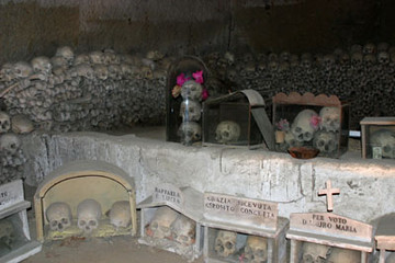 teche e teschi sullo sfondo