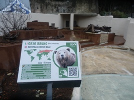 Angolo dello Zoo che ospita esemplari di orso bruno