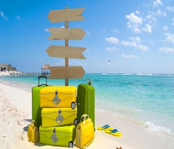 Immagine di valigie in riva al mare