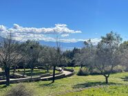 Parte la riqualificazione del Parco del viale del Poggio