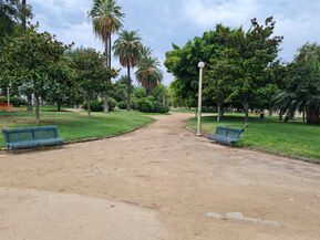 Manutenzione del verde orizzontale nel mese di agosto 2022