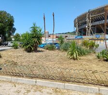 Assessore al Verde Vincenzo Santagada: la manutenzione del verde procede spedita in tutte le Municipalità