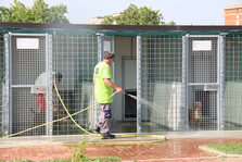 Giornata Mondiale del Cane, 290 mila euro destinati a migliorare l'area del canile municipale con zona picnic e orti urbani