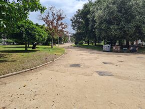 Manutenzione del verde orizzontale nel mese di agosto 2022