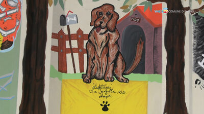 Una foto del nuovo canile comunale