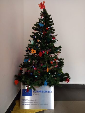 Foto dell'albero di natale e targa con logo europe direct napoli
