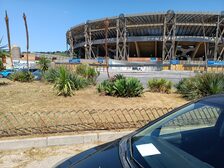 Assessore al Verde Vincenzo Santagada: la manutenzione del verde procede spedita in tutte le Municipalità