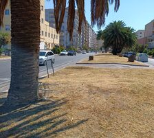 Assessore al Verde Vincenzo Santagada: la manutenzione del verde procede spedita in tutte le Municipalità