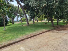 Manutenzione del verde orizzontale nel mese di agosto 2022