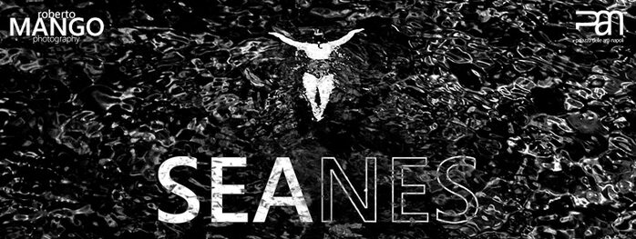 Mostra Fotografica di Roberto Mango