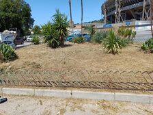 Assessore al Verde Vincenzo Santagada: la manutenzione del verde procede spedita in tutte le Municipalità