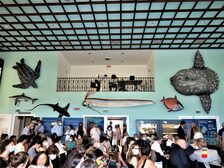 Il Sindaco Manfredi alla celebrazione per i 150 anni della Stazione Anton Dohrn