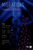 Francesca Di Bonito - progetto multimediale Migrations